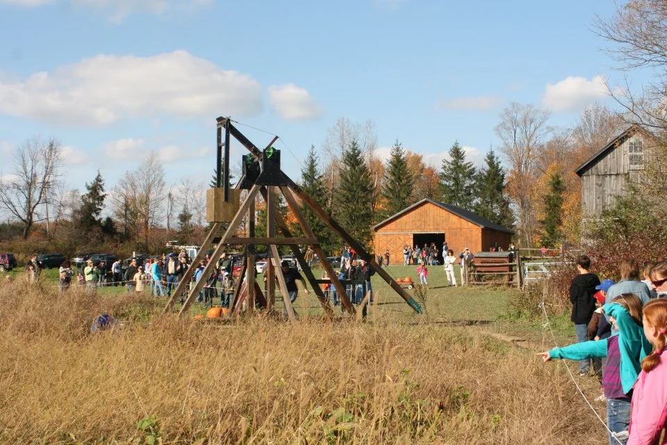 Our farms sale